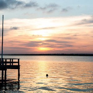 Our Top 3 Reasons Why We Love Spring on LBI
