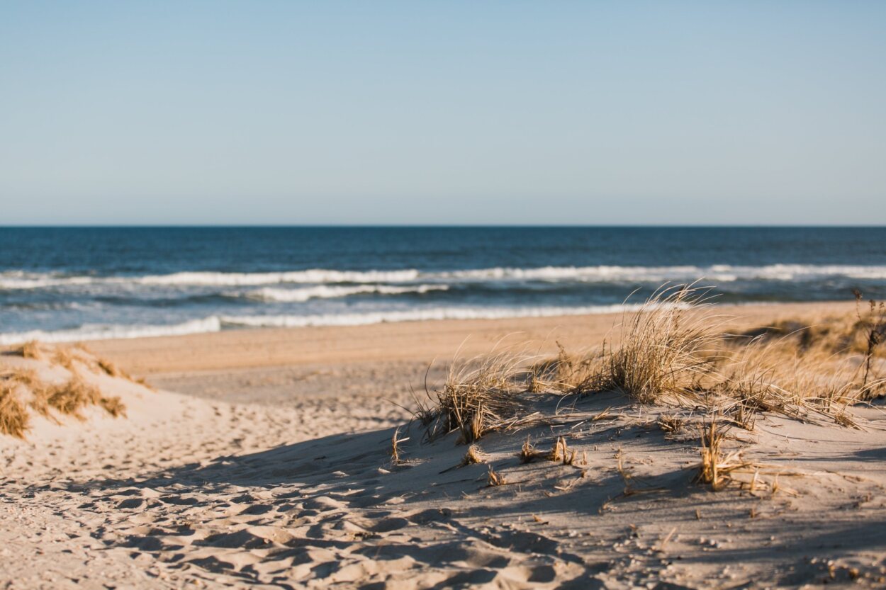 Read more about the article 5 Tips & Tricks for Preparing Your LBI Home for the Summer Season!