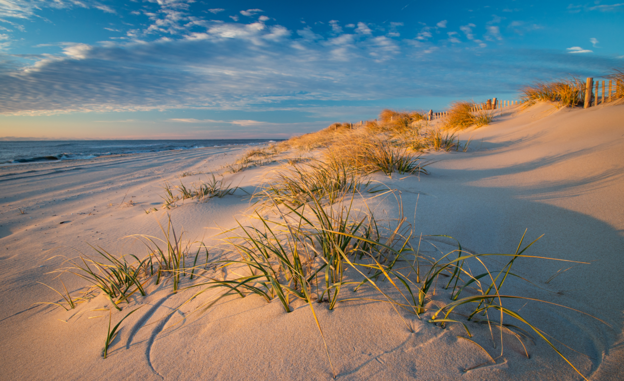 Read more about the article Unlock the Best of LBI: Why Planning Your Summer Getaway Now is Essential!