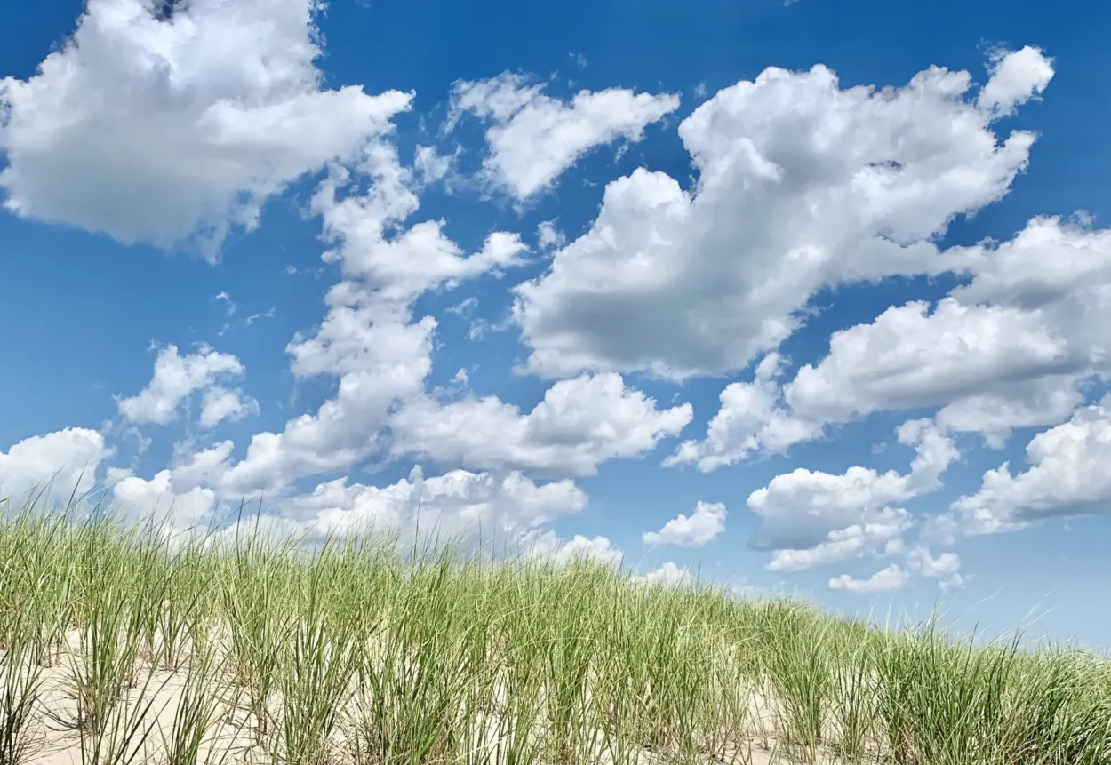 Read more about the article How To Buy Beach Badges for LBI Towns