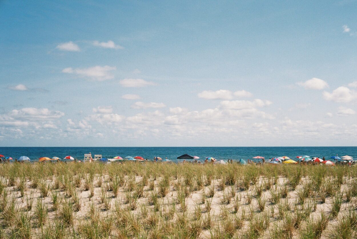 Read more about the article 2025 LBI Beach Badge Information