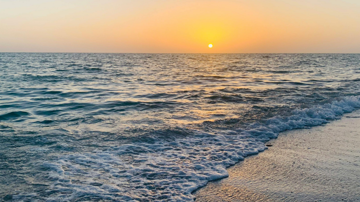 Read more about the article 2026 LBI Beach Badge Information